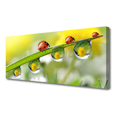 Slika canvas Ladybug Leaf Priroda