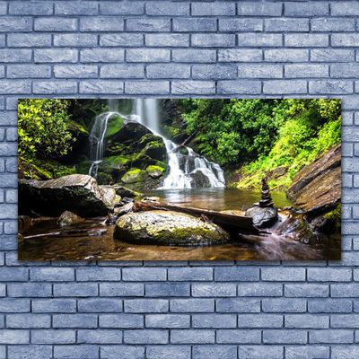 Foto slika na platnu Šumski vodopad Natura Potok