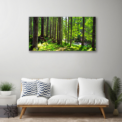 Slika na platnu Šumsko drveće Biljna priroda
