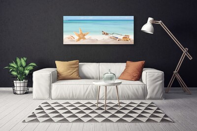 Foto slika na platnu Plaža Starfish Shells