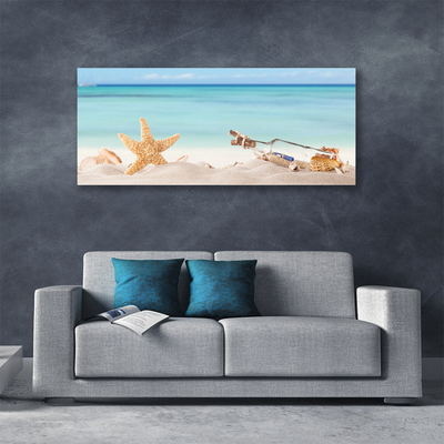 Foto slika na platnu Plaža Starfish Shells