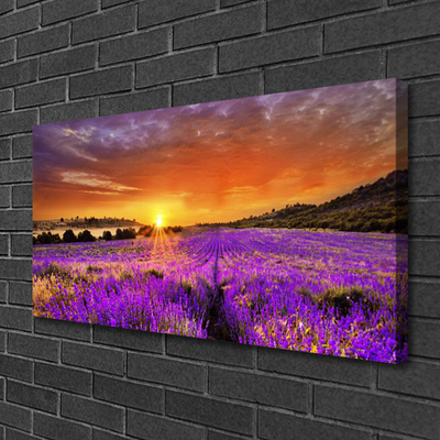 Slika canvas Zalazak sunca Polje lavande