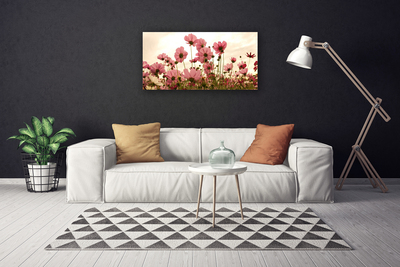 Slika na platnu Divlje cvijeće Livada Priroda