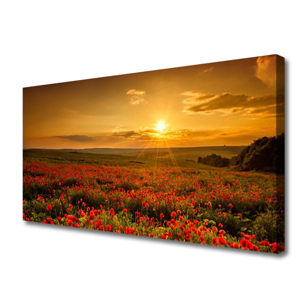 Fotografija na canvas platnu Polje makova Livada zalaska sunca