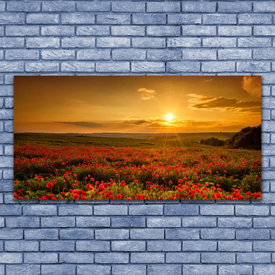 Fotografija na canvas platnu Polje makova Livada zalaska sunca