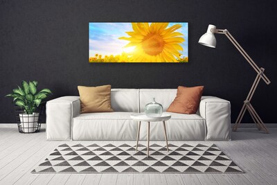 Slika canvas Suncokret Cvijet Sunce