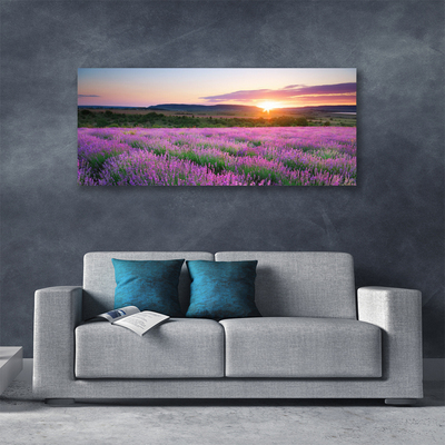 Slika canvas Polja lavande Meadow West