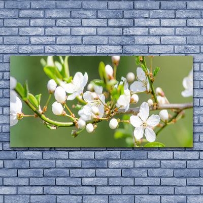 Fotografija na canvas platnu Cvijeće Grane Lišće Voćnjak