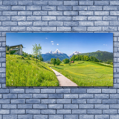 Slika na platnu Planine Meadow Path Valley