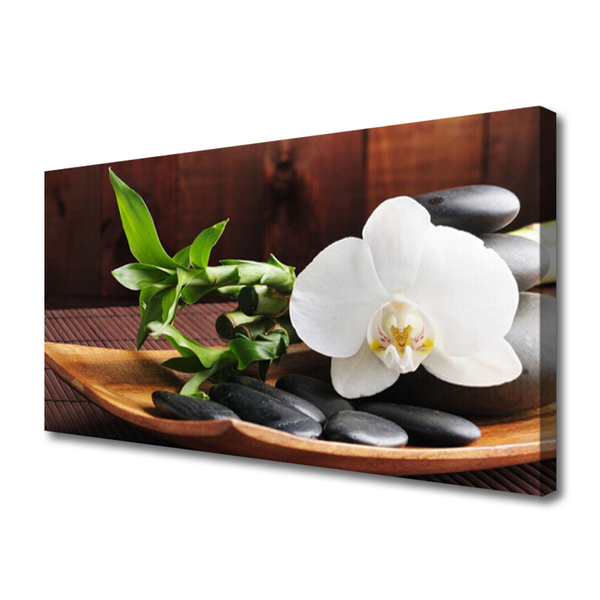 Fotografija na canvas platnu Zen bambus bijela orhideja