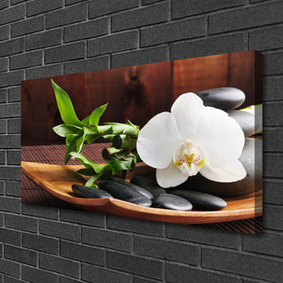 Fotografija na canvas platnu Zen bambus bijela orhideja