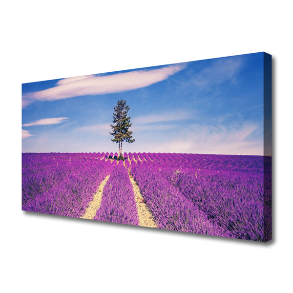 Slika na platnu Lavanda Field Meadow Tree