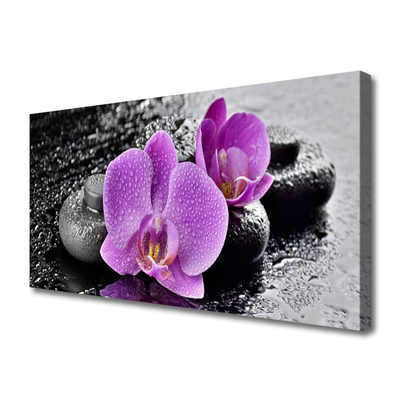 Slika canvas Orchid Flowers Orchid Spa