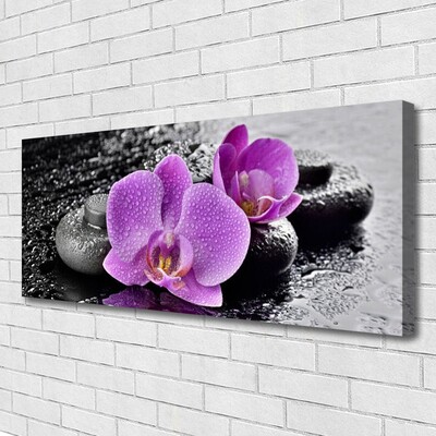 Slika canvas Orchid Flowers Orchid Spa