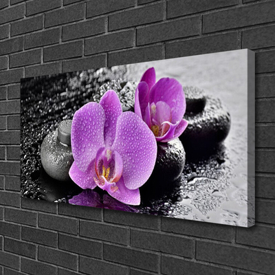 Slika canvas Orchid Flowers Orchid Spa