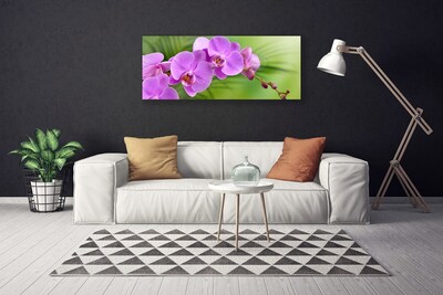 Slika canvas Orhideja Cvijeće orhideja