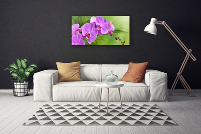 Slika canvas Orhideja Cvijeće orhideja