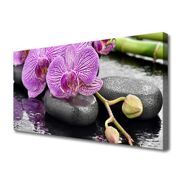 Nazwa dodatkowa Orchid Zen Orchid Spa