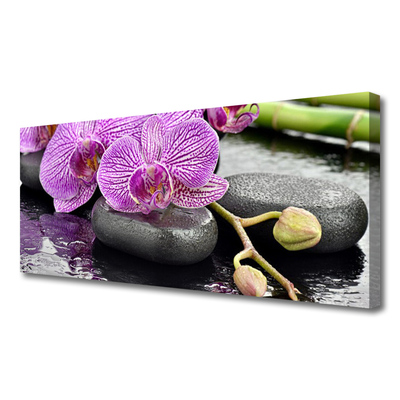 Nazwa dodatkowa Orchid Zen Orchid Spa