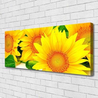 Slika na platnu Suncokret Cvijet Priroda