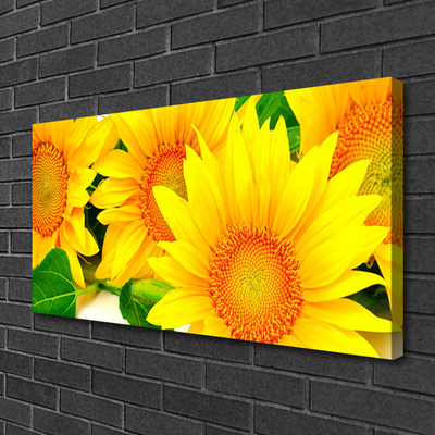Slika na platnu Suncokret Cvijet Priroda