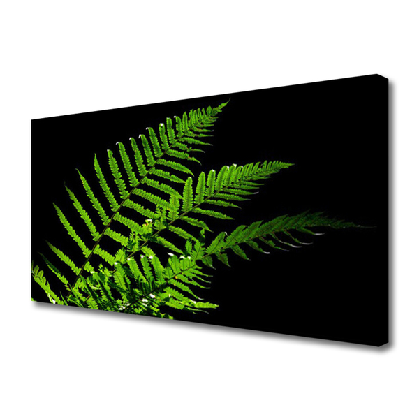 Slika na platnu Fern Ferns Leaves