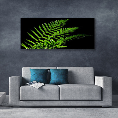 Slika na platnu Fern Ferns Leaves