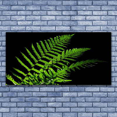 Slika na platnu Fern Ferns Leaves