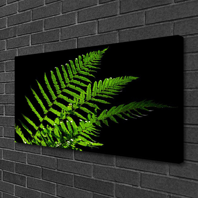 Slika na platnu Fern Ferns Leaves