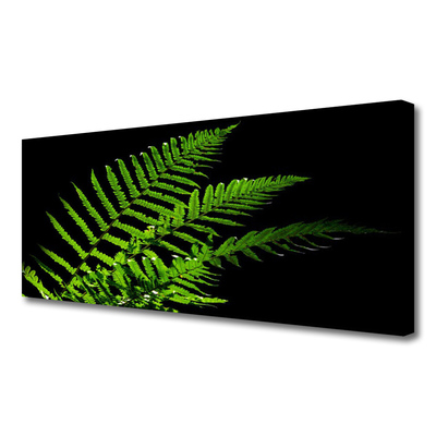 Slika na platnu Fern Ferns Leaves