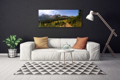 Slika canvas Hala Mountains Road Nature Meadow