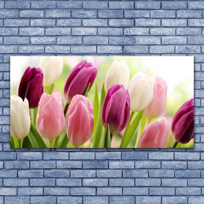 Slika canvas Tulipani Cvijeće Priroda Livada