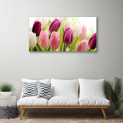 Slika canvas Tulipani Cvijeće Priroda Livada