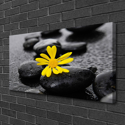 Slika na platnu Žuti cvijet Spa Priroda