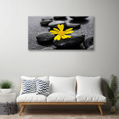 Slika na platnu Žuti cvijet Spa Priroda