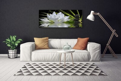 Fotografija na canvas platnu Cvijeće lopoča