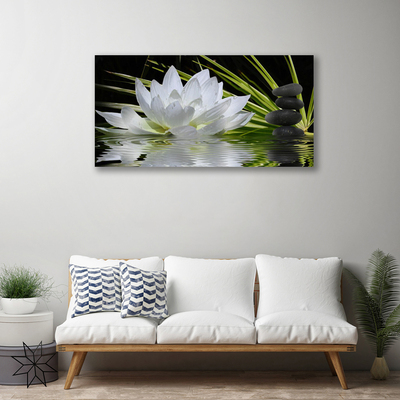 Fotografija na canvas platnu Cvijeće lopoča