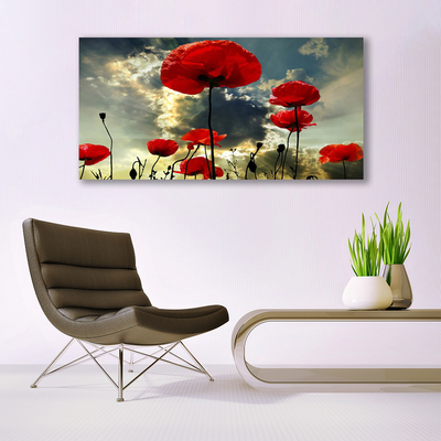 Slika canvas Makovi Cvijeće Priroda Biljka