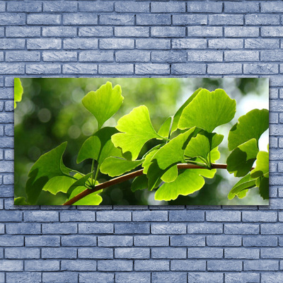 Fotografija na canvas platnu Grane Lišće Priroda Drvo