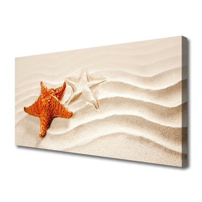 Foto slika na platnu Morska zvijezda na pješčanoj plaži