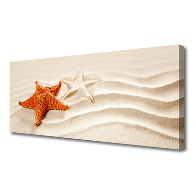 Foto slika na platnu Morska zvijezda na pješčanoj plaži