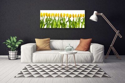Slika canvas Tulipani Cvijeće Priroda