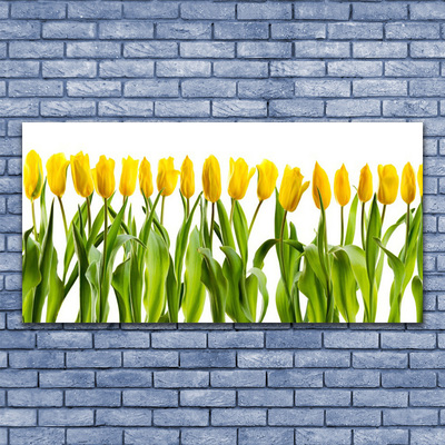 Slika canvas Tulipani Cvijeće Priroda