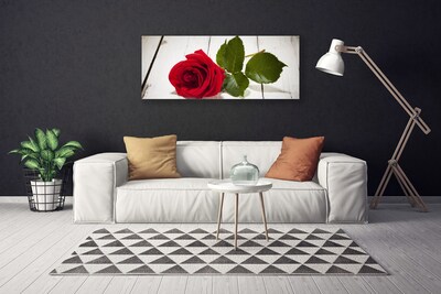 Fotografija na canvas platnu Rose Flower Biljna priroda