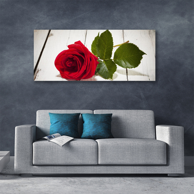 Fotografija na canvas platnu Rose Flower Biljna priroda