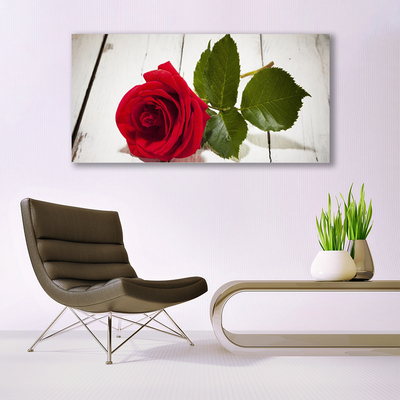 Fotografija na canvas platnu Rose Flower Biljna priroda