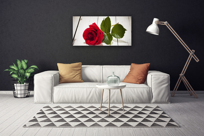 Fotografija na canvas platnu Rose Flower Biljna priroda