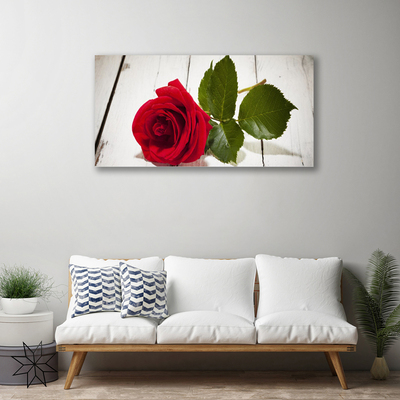 Fotografija na canvas platnu Rose Flower Biljna priroda