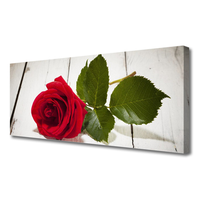 Fotografija na canvas platnu Rose Flower Biljna priroda