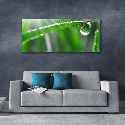 Slika canvas Drop Dew Leaf Grass